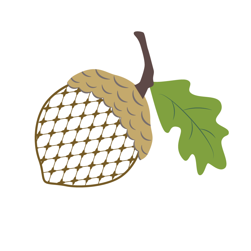 Chic Acorn for Print