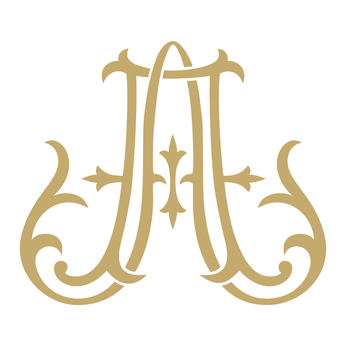 Monogram Couture AA