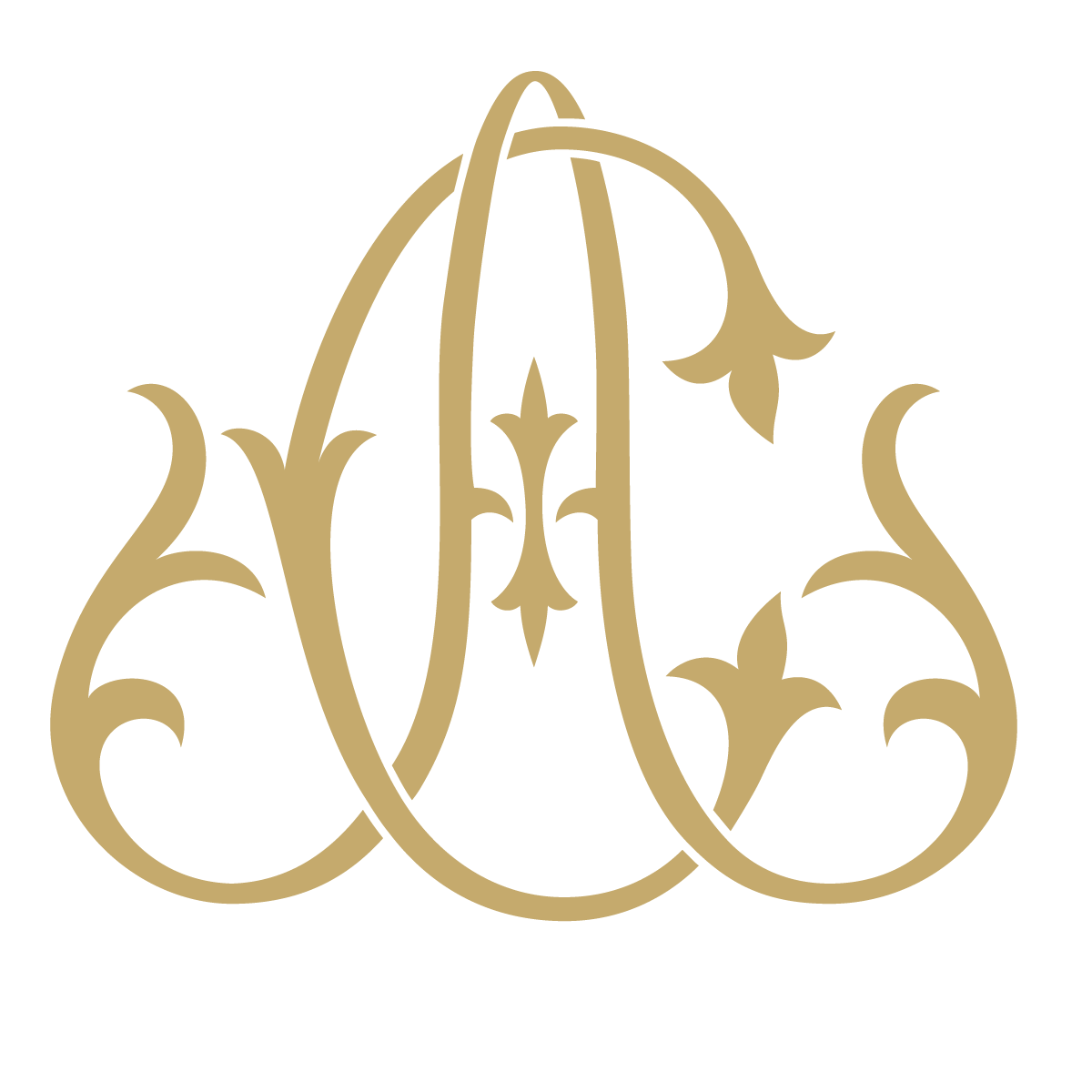 Monogram Couture AC