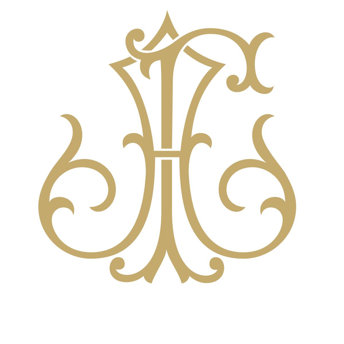 Monogram Couture AF