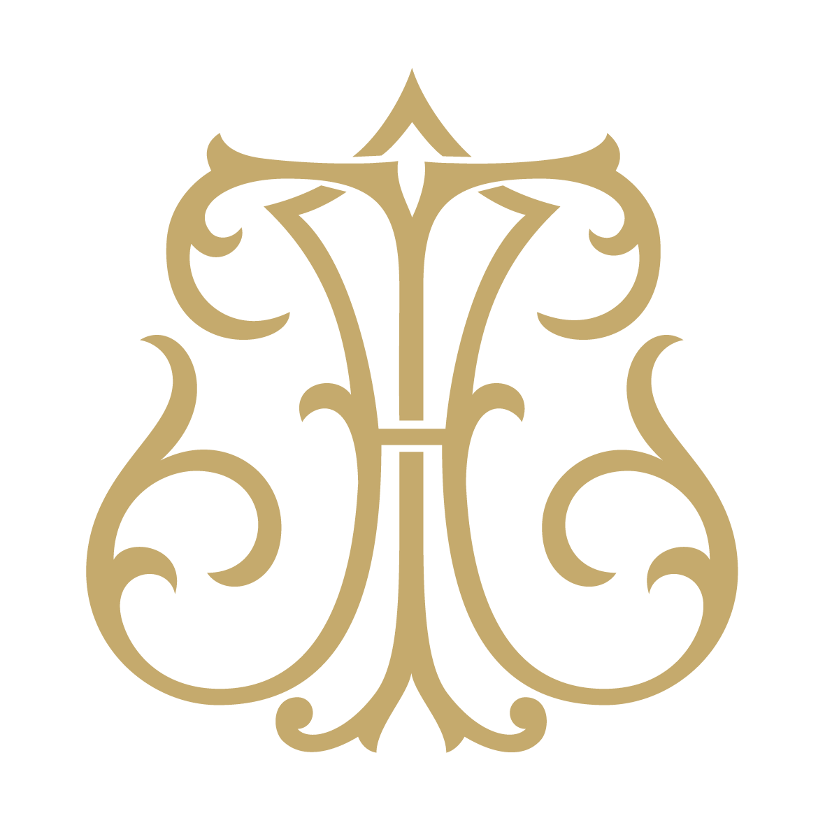 Monogram Couture AT