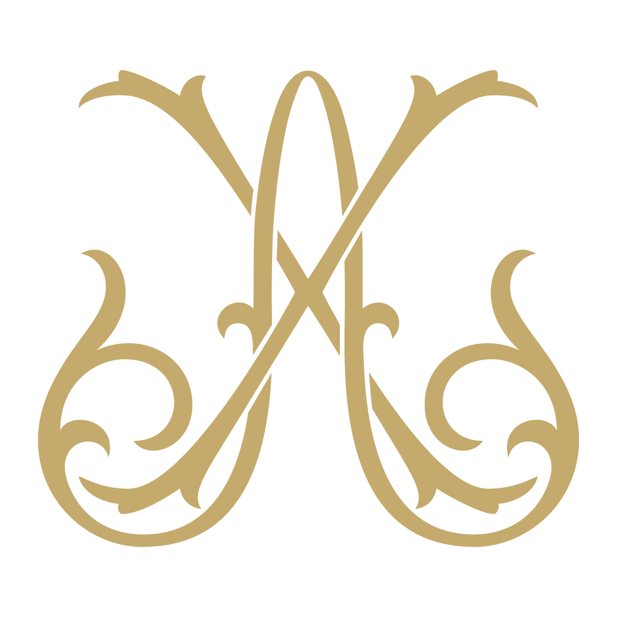 Monogram Couture AX