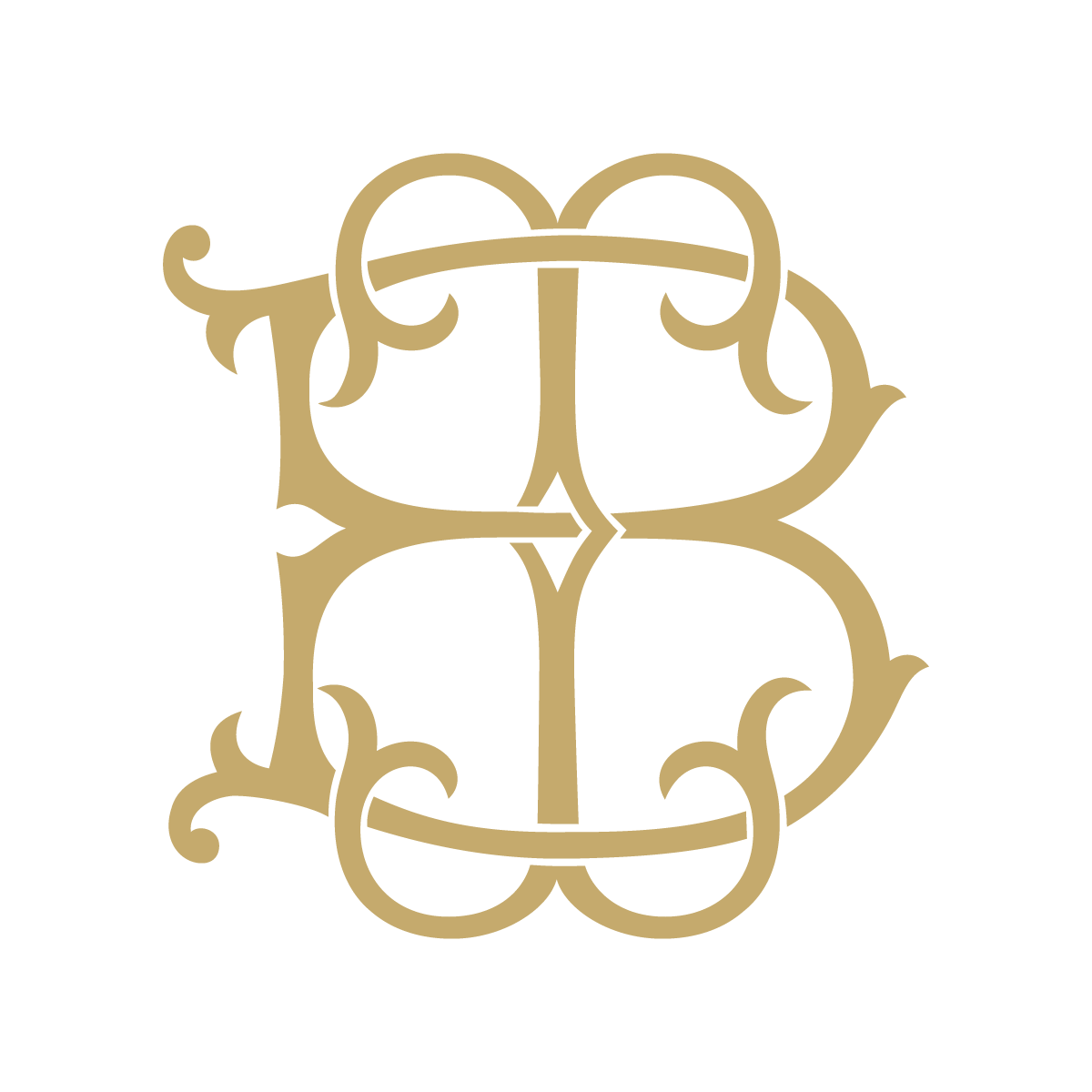 Monogram Couture BI