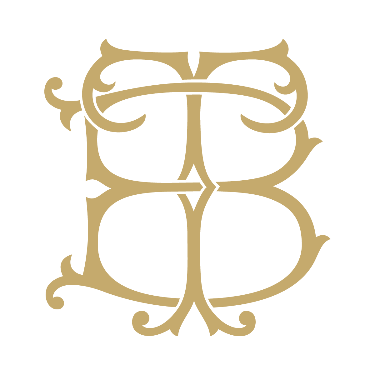 Monogram Couture BT