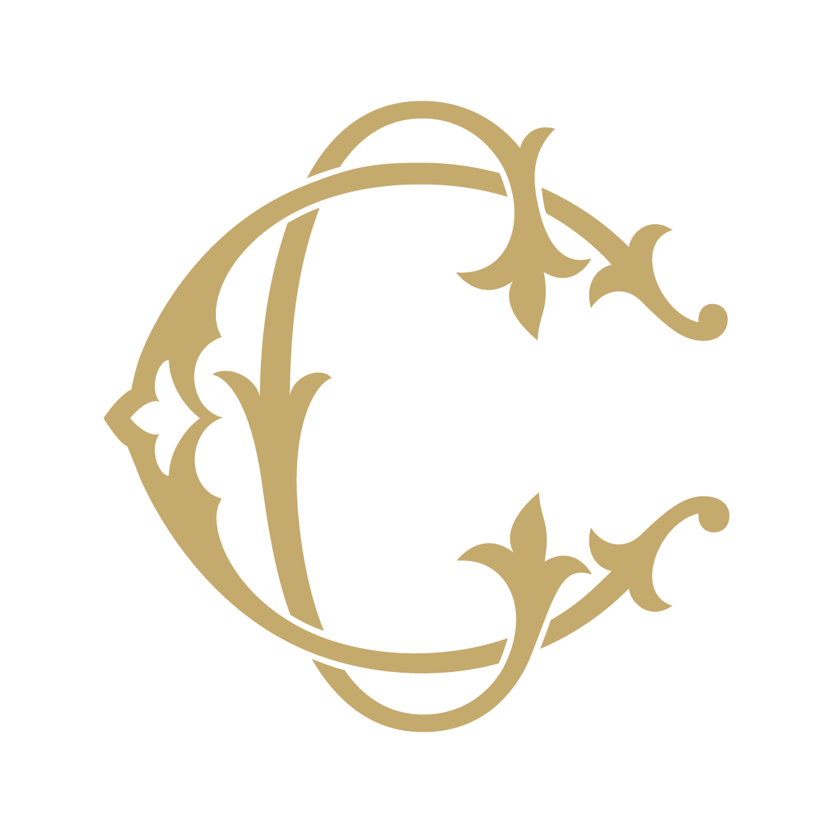Monogram Couture CC