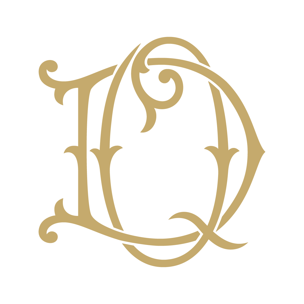 Monogram Couture DQ