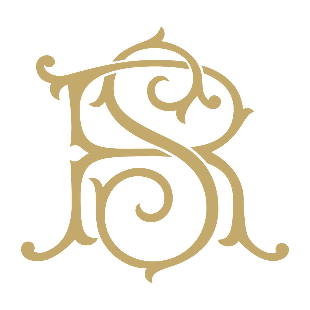 Monogram Couture RS
