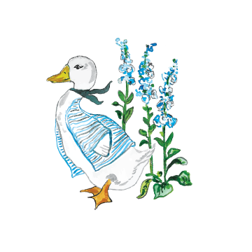 Watercolor Duck for Print