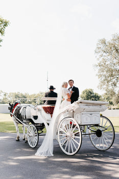 Bride and Groom 
