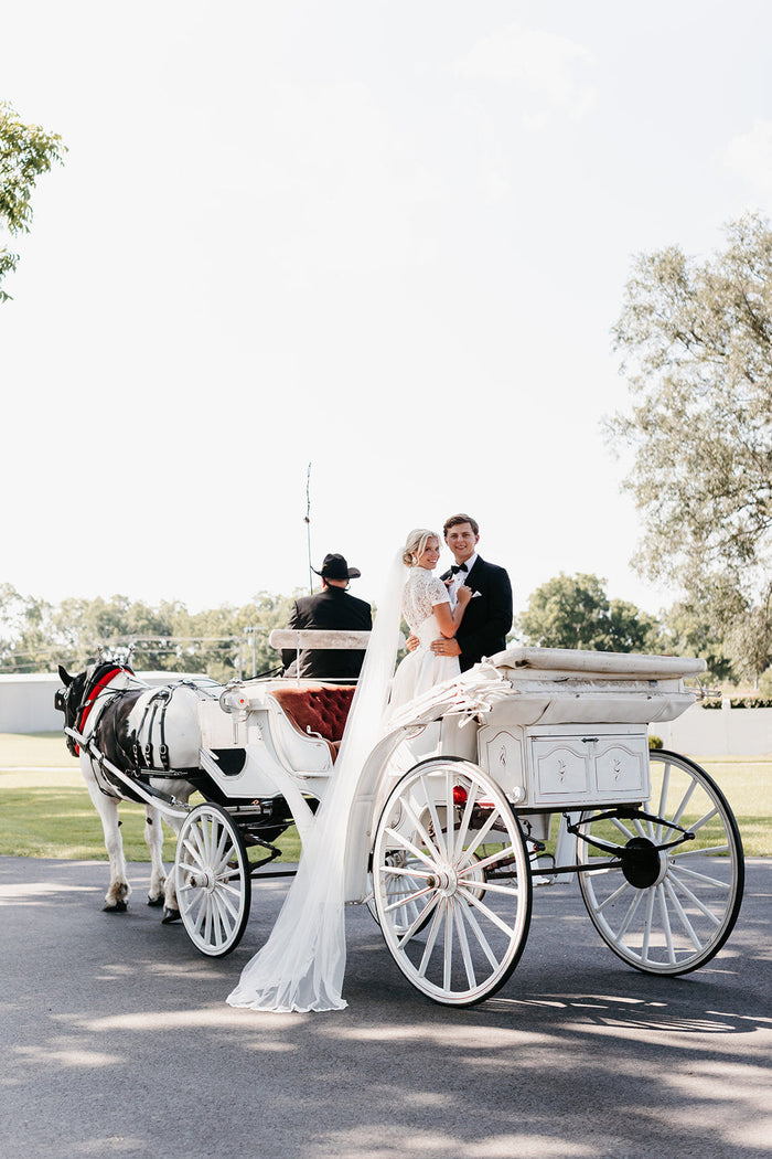 Bride and Groom 