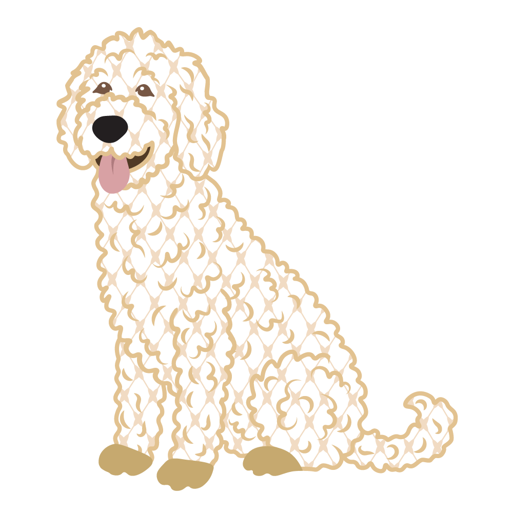 Chic Goldendoodle for Print