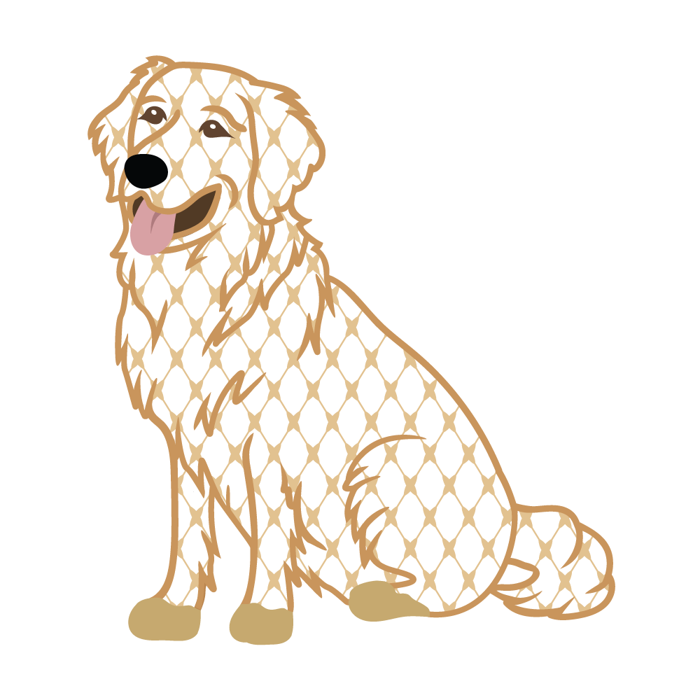 Chic Golden Retriever for Print