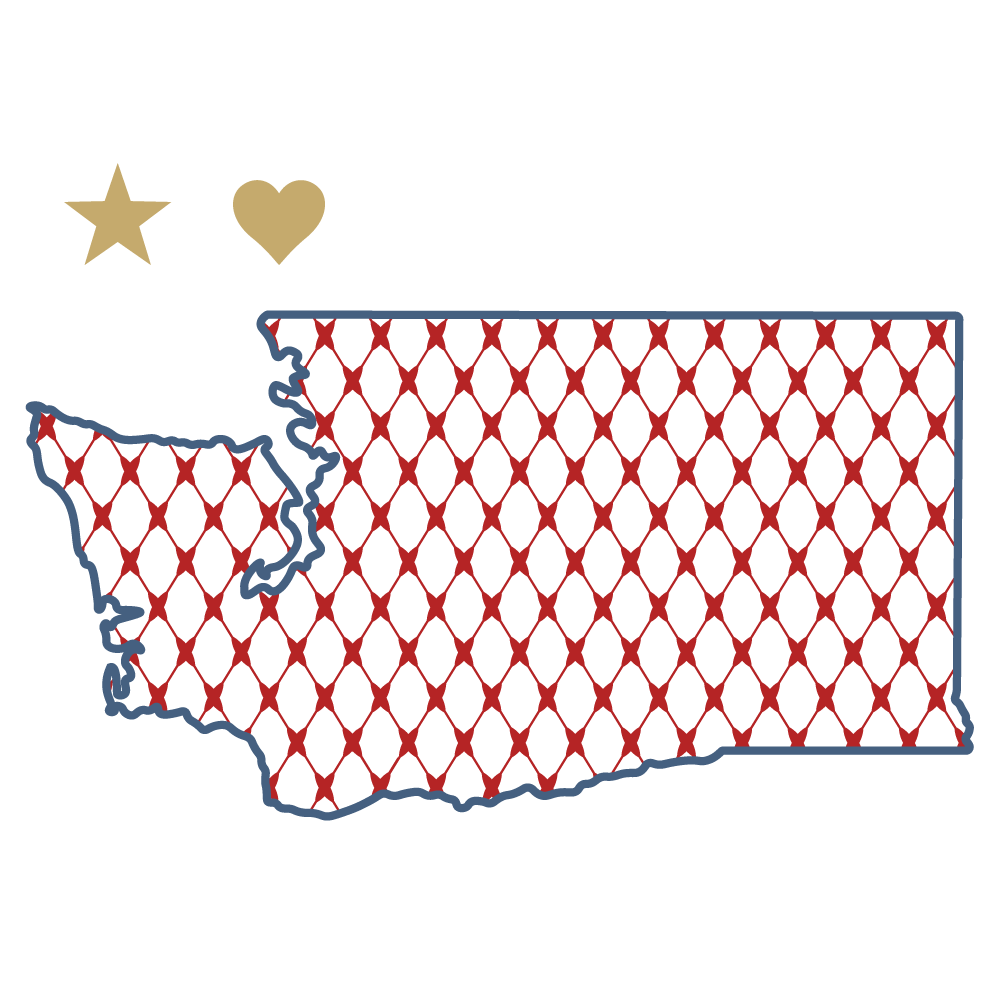 Chic Washington for Print