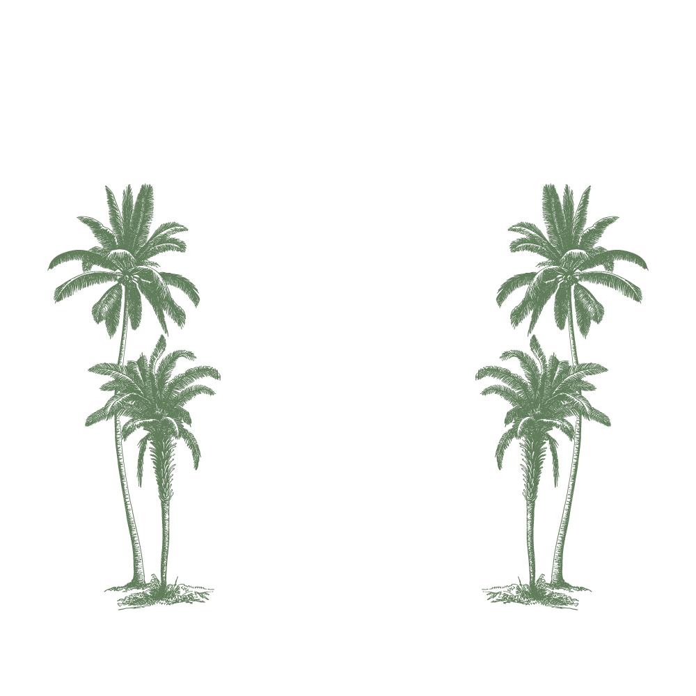 Beaufort Palms for Print