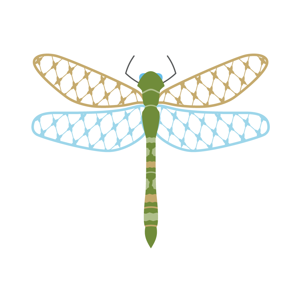 Chic Dragonfly for Print