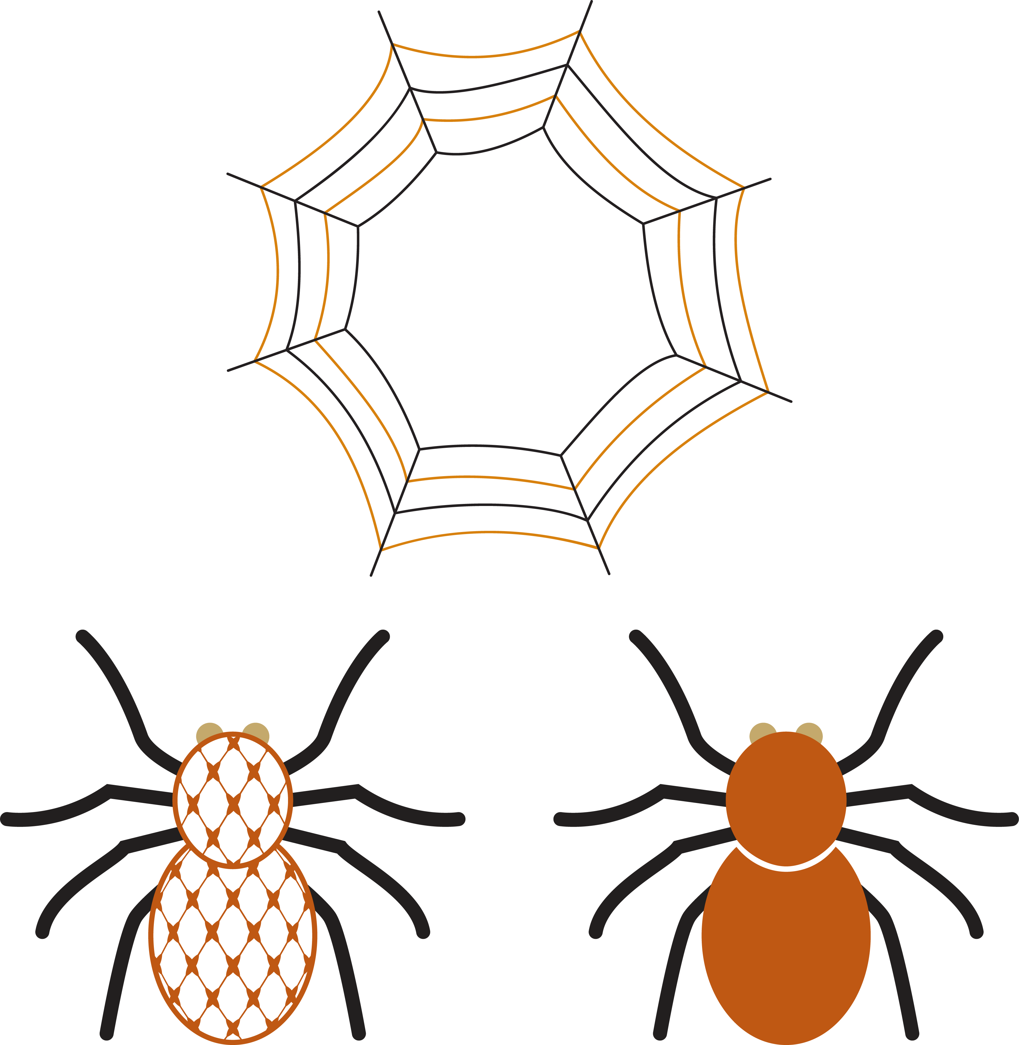 Chic Spider and Web for Print