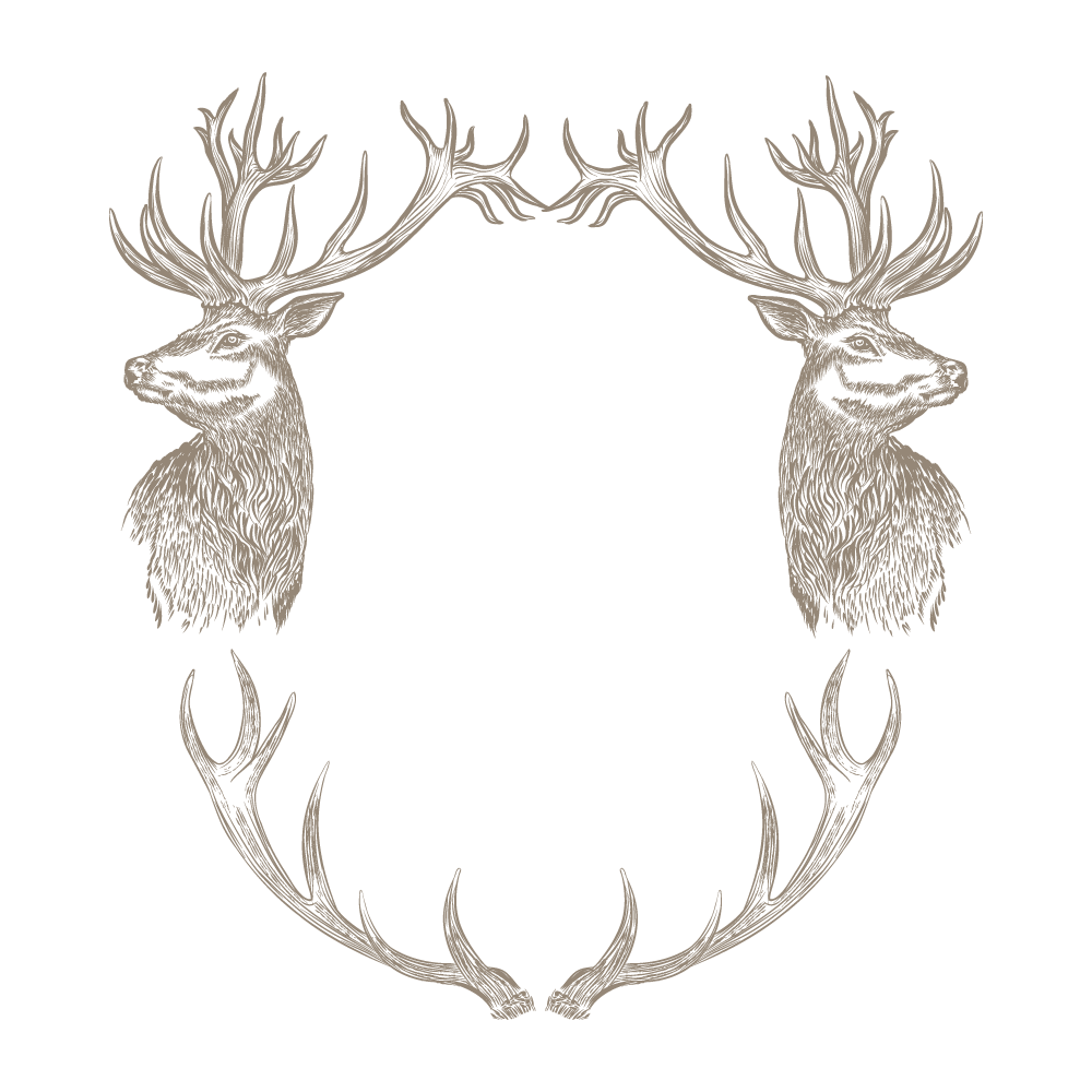 Madison Stags for Print