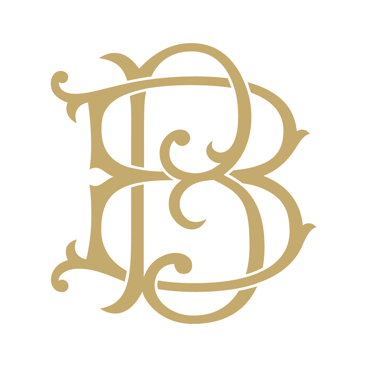 Monogram Couture BB