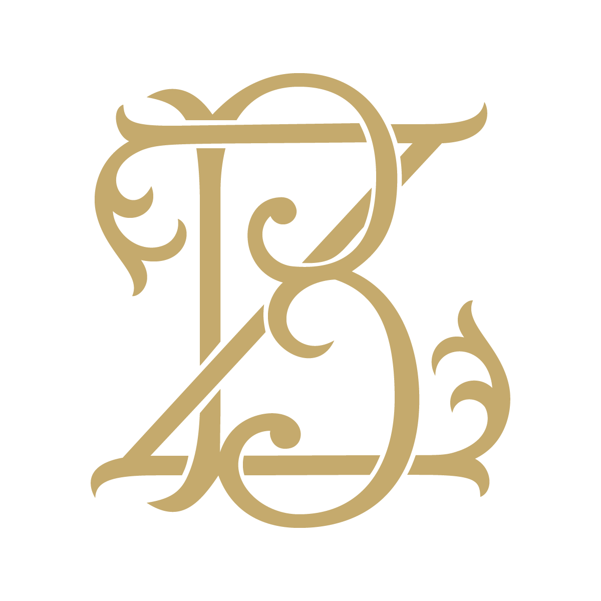 Monogram Couture BZ