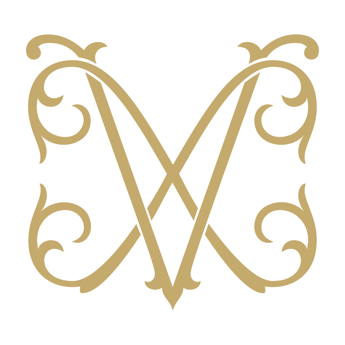 Monogram Couture VX