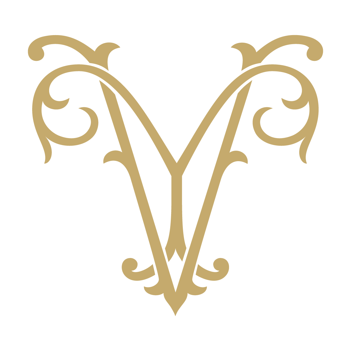 Monogram Couture VY