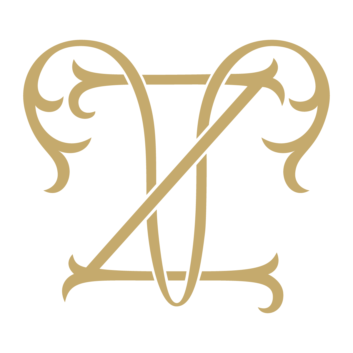 Monogram Couture VZ