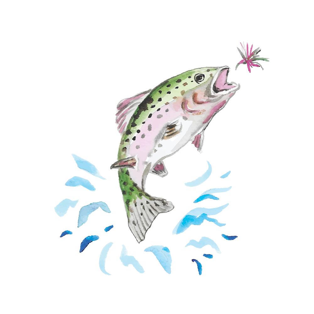 Watercolor Trout for Print