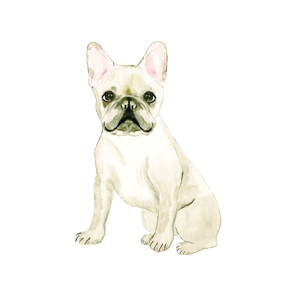 Watercolor Frenchie for Print